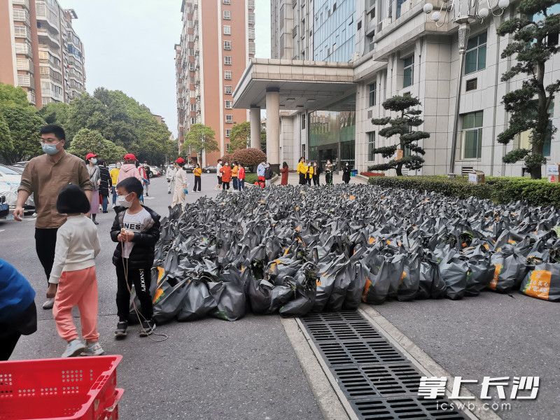 780份蔬菜包送到了湘林小區(qū)院內(nèi)。長(zhǎng)沙晚報(bào)實(shí)習(xí)生 羅楊 攝